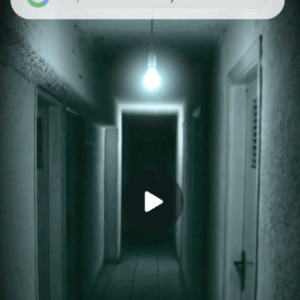 Google Search Bar Reel