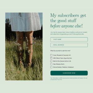 Contemporary Opt in Form 1