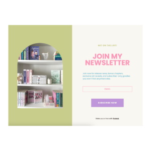 Contemporary Opt In Form 2